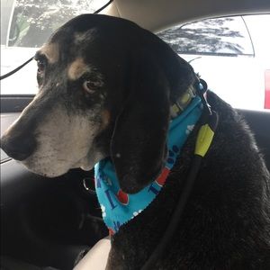 Meet your Posher, Cortney